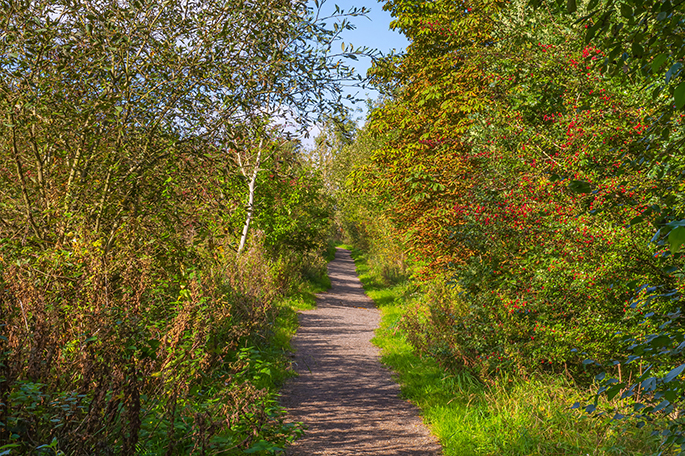 Bickershaw North trail