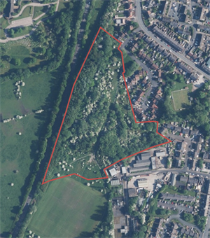 Aerial image of the Lovers Lane site
