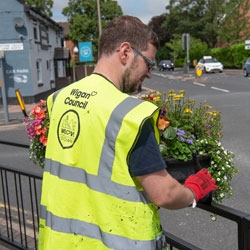 Pruning flowers in Lowton