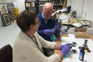 Volunteers cleaning and documenting collections