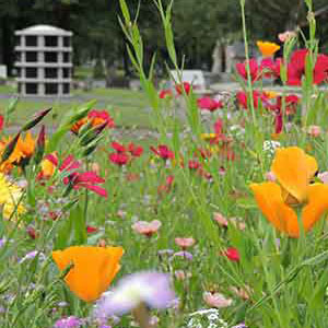 Image of the garden of remembrance