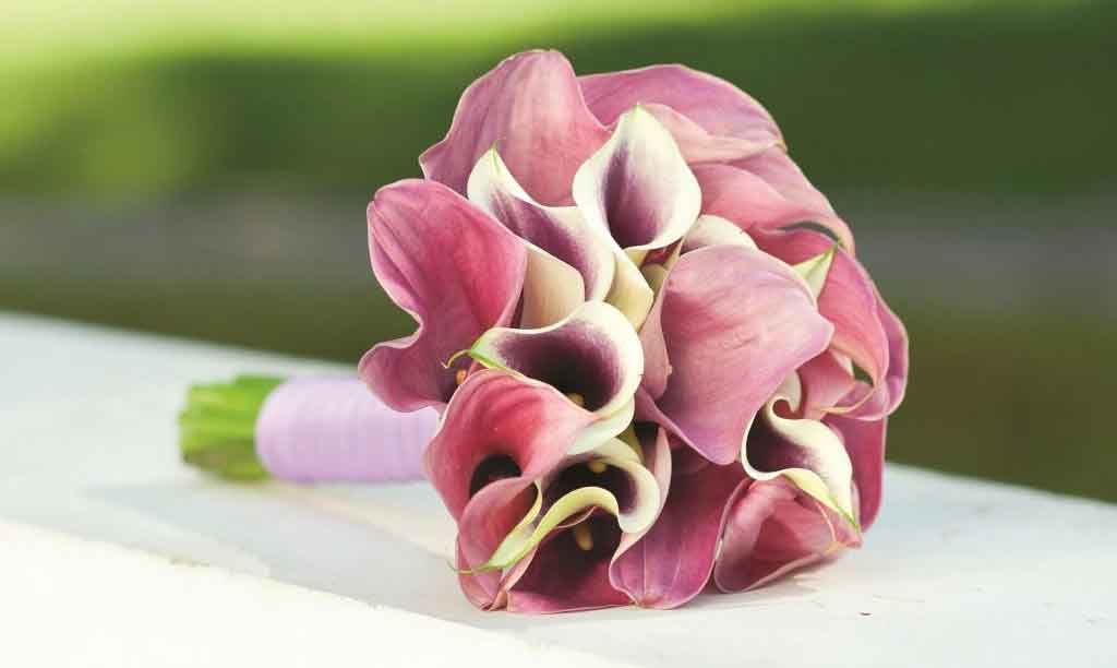 a wedding ceremony order wedding ceremony order