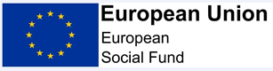 European Social Fund Logo