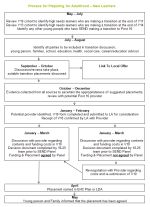 A chart showing the process for Preparing for Adulthood for new learners.