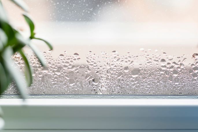 condensation-window
