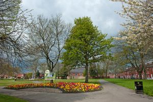 Alexandra Park