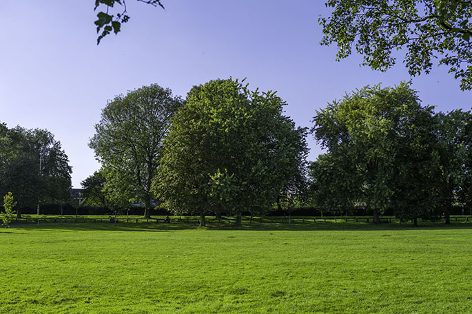 Alexandra Park