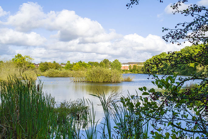 Bickershaw South lake