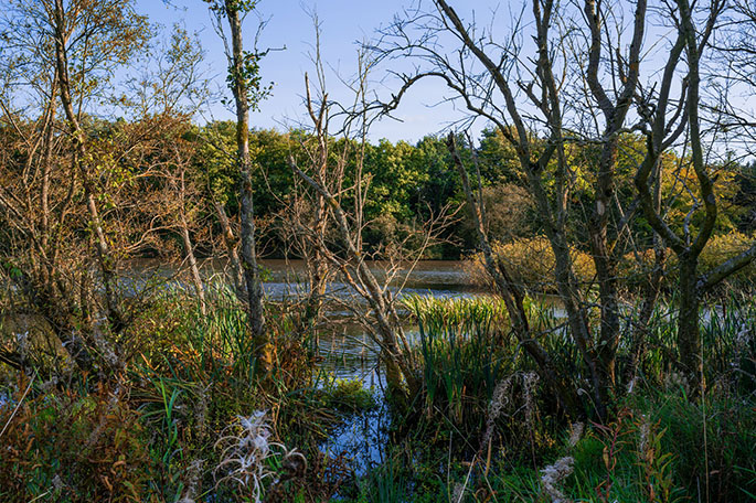 Bickershaw South lake