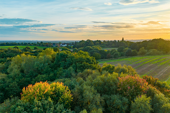 Borsdane Wood aerial