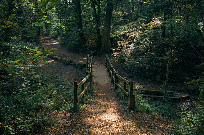 Borsdane Wood path