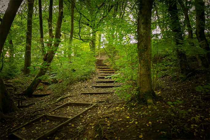Borsdane Wood path