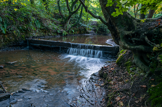 Borsdane Wood river