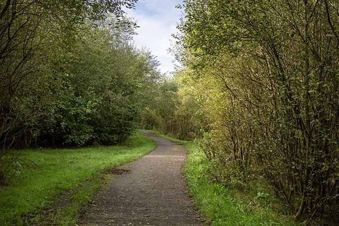 Byrom Hall Wood path