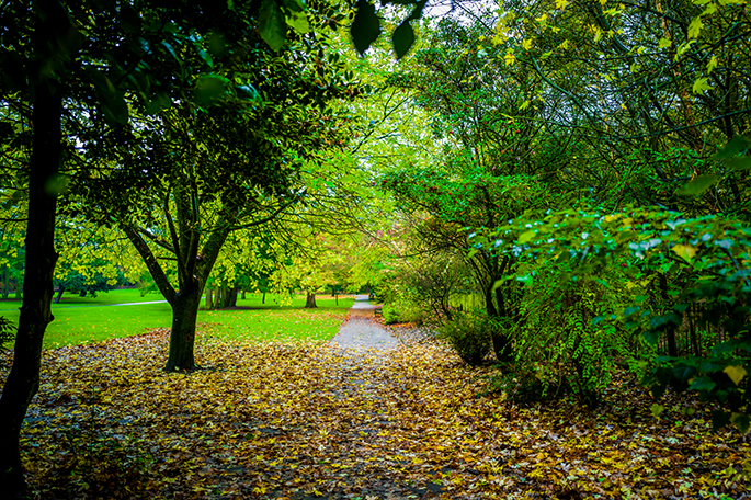 Haigh Woodland Park