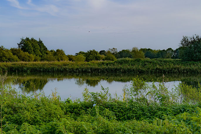 Hope Carr Nature Reserve lake