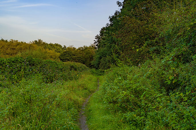 Hope Carr Nature Reserve