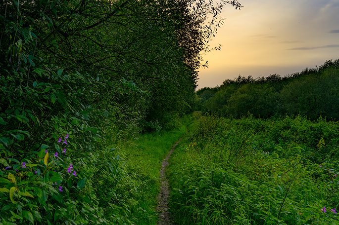 Hope Carr Nature Reserve