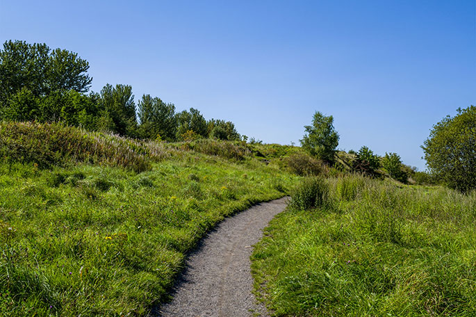 Kirkless Local Nature Reserve path