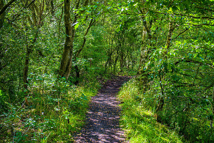 Lightshaw Meadows path