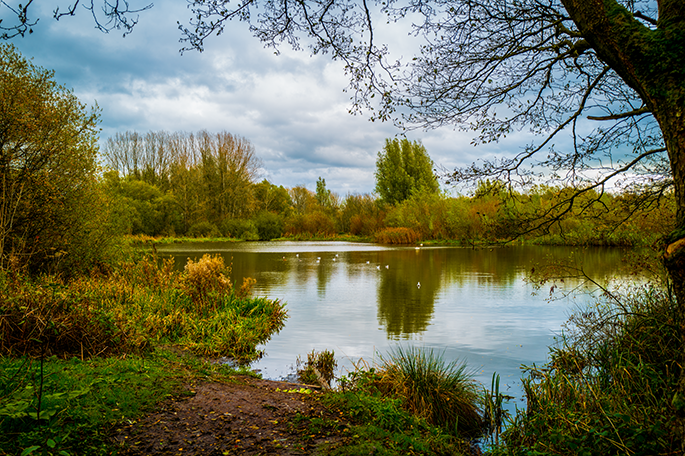 Low Hall Nature Reserve