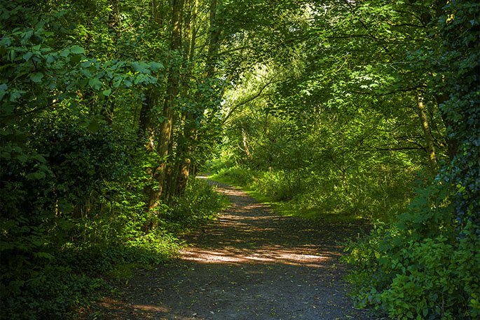 Low Hall Nature Reserve footpath