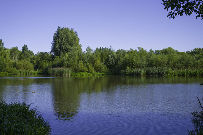 Low Hall Nature Reserve lake