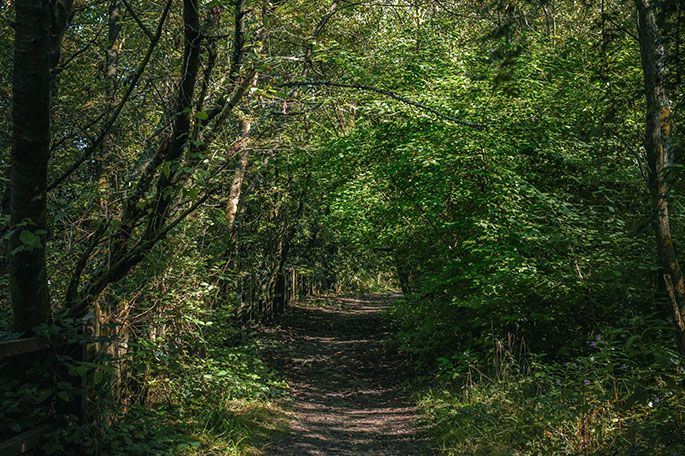 Woodshaw – footpath