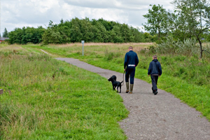 Nature walks at Amberswood