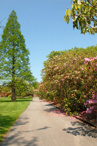 Haigh Hall