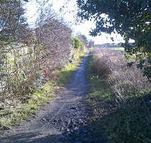 Standish Mineral Line